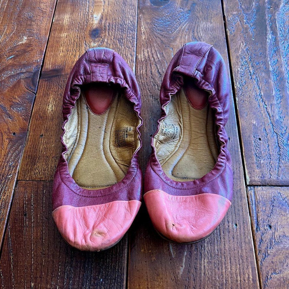 Leather Earthing Shoes Two Tone Pink Size 10